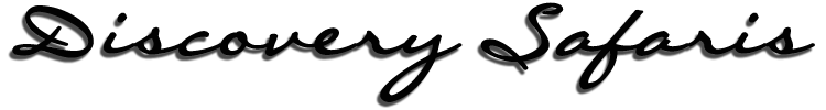 logo wording 3